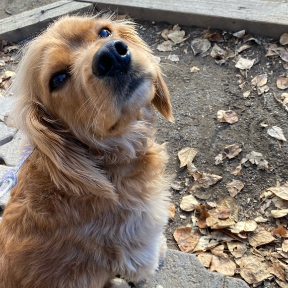 Meet your Posher, Aila (they/them/she/her) - Picture 5 of 7